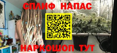 МДПВ Ставрополь