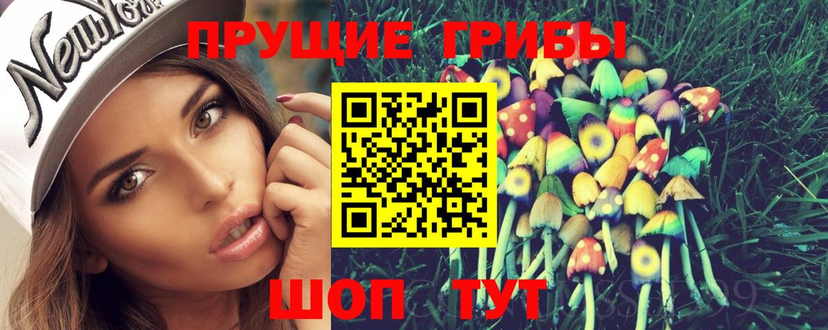 Галлюциногенные грибы Cubensis Назрань